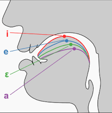 Singwise Singwise Vowels Vowel Formants And Vowel