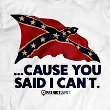 Image result for Nikki Hates Guns As Much As She Hates Confederate Flags
