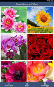 Hd fiore di melo / primavera. Sfondi Fiori Hd Gratis 1 6 Download Android Apk Aptoide