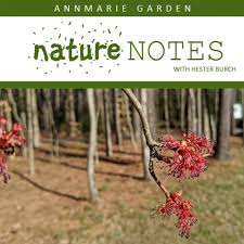 We at giant eagle would like to give a huge congratulations to our june great neighbor award winner, phil k.! Nature Activities Annmarie Sculpture Garden Arts Center
