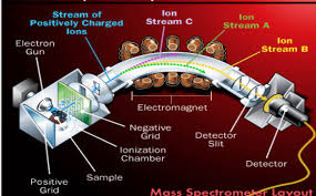 Agilent 5973n network mass selective detector. Solved About Mass Selective Detector Msd What S Reason Chegg Com