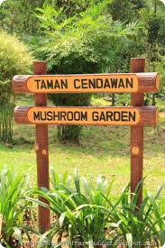 On vimeo, the home for high quality videos and the people who love them. Cycling Day Taman Pertanian Bukit Cahaya Cindy S Planet