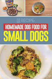 Recipe Homemade Dog Food For Small Dogs Healthy Dog Food Recipes Dog Food Recipes Homemade Dog Food