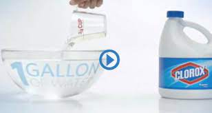 Chlorine Bleach Regular Formula Clorox Clorox Bleach Clorox Bleach Water