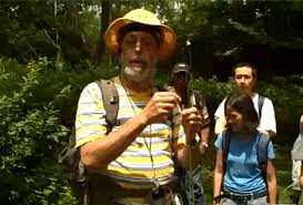 The Green Apple: A Wild City