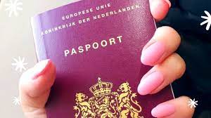 How To Get Dutch Citizenship || Application Procedure,Fees,Decision &  Ceremony - Youtube