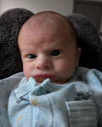 Ruben Daly (@ruben.daly) • Instagram photos and videos