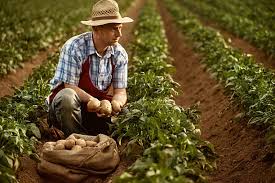 FoodFarmNews: South Africa: Farmers Speak Out Against New Plant Bills