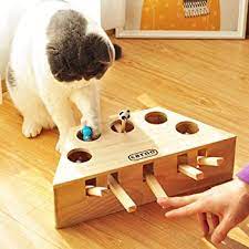 You can also buy food puzzles. Explore Puzzle Feeders For Cats Amazon Com