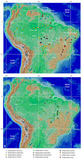 A volta roberto carlos (legendado) hd. Distribution Of Tetragonopterus Species Throughout South America Download Scientific Diagram