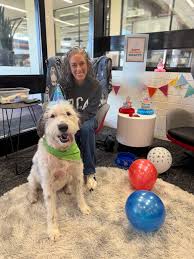 NC State College of Veterinary Medicine & Veterinary Hospital added a  new...