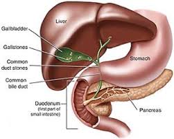 We did not find results for: Sakra World Hospital Gall Bladder Removal Treatment At Sakra World Hospital