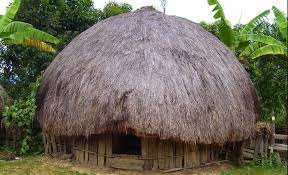 Keunikan Rumah Adat Papua Honai Beserta 4 Faktanya