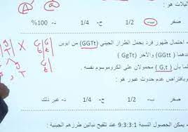 انطلقت الوطنية في النصف الثاني من عام 2007 وعملت على مدار. Ø¥Ø¬Ø§Ø¨Ø§Øª Ø§Ù…ØªØ­Ø§Ù† Ø§Ù„Ø£Ø­ÙŠØ§Ø¡ Ù„Ù„Ø¯ÙˆØ±Ø© Ø§Ù„ØªÙƒÙ…ÙŠÙ„ÙŠØ© 2020 2021 ØªÙˆØ¬ÙŠÙ‡ÙŠ Ø§Ù„ØªÙƒÙ…ÙŠÙ„ÙŠ ÙÙŠ Ø§Ù„Ø£Ø±Ø¯Ù† Ø³Ù…Ø§ Ø§Ù„Ø¥Ø®Ø¨Ø§Ø±ÙŠØ©