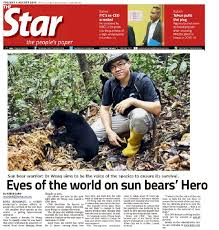 The sun, london, united kingdom. Eyes Of The World On Sun Bears Hero Newspaper Cutting