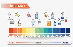 affordable ph scale litmus paper color chart royalty skin