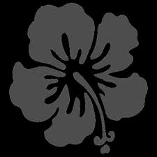 Ellet High School Class of 1973 Reunion Weekend