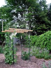 20 Best Ideas Of Easy Low Budget Diy Squash Arch Designs For Your Garden Garden Arches Vegetable Garden Design Vertical Garden