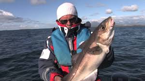 Check spelling or type a new query. Mediathek Dintur Reisevermittlung Gmbh Ihr Partner Fur Angelreisen Und Angeln In Norwegen