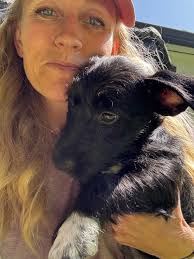 It's Welcome Home Wednesday!!! Please give a giant WELCOME HOME to our pack  members who found their forever families this week. Welcome home to:  Crumpet, Natasha, Star, Jack, Max, Frizz, Baguette, Maddie,