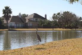 The great lakes junior hockey league (gljhl) was an american inline hockey league. Featured Neighborhood Learn More About Grand Lakes In The Katy Area Community Impact