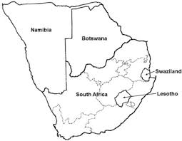 Image result for Lophiocarpus latifolius