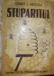 Combate ideea potrivit căreia, dacă ai o casă, eşti înstărit. Milian Gurau Miliangurau Profile Pinterest