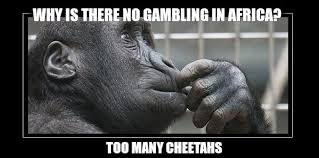 Check spelling or type a new query. Gambling Meme Catalogue The Top 10 Casino Memes Ever