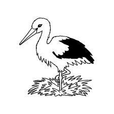 coloriage cigogne alsace a imprimer gratuit animals bird fortnite coloriages armes