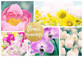 Flowers are such a beauty among us. Flower Meanings And Symbolism Ftd Com