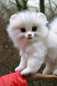 White Pomeranian Puppy Dog Fantasy Creatures Pets Toys From Etsy In 2020 Realistic Stuffed Animals White Pomeranian Puppies Pomeranian Puppy