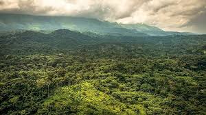 Abidjan Cotedivoire Africa Ivorycoast Team225 Travel Photography Love 225 Instagood Westafrica Afrique A Sirop Gingembre Vins Et Spiritueux Nature