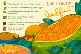 We did not find results for: What Is Jackfruit And How Is It Used