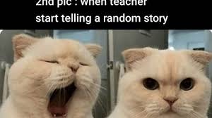 Maybe you would like to learn more about one of these? Funny Memesa About Commerce Students Funny Status For Whatsapp