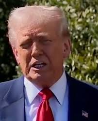 Charlie Warzel: "me when i have to buy a car for my friend