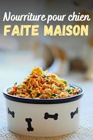 Nourriture Pour Chien Faite Maison En 2020 Nourriture Pour Chiens Faite Maison Nourriture Chien Nourriture