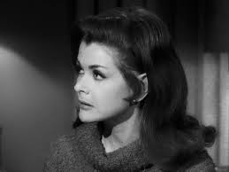 The Fugitive" The White Knight (TV Episode 1966)