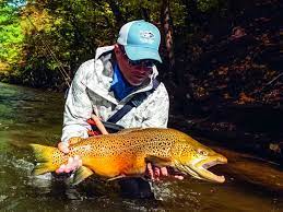 Tips To Catch Brown Trout In Upstate New York On The Water