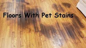 How long does it take to sand hardwood floors. Refinishing Hardwood Floors With Pet Stains Options For Fixing