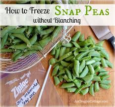 How To Freeze Snap Peas Without Blanching And Snow Peas Too Frozen Green Beans Snap Peas Frozen Veggies