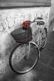 Black And White Bike Color Lady S Wheels Pretty Bike Color Splash Cool Photos