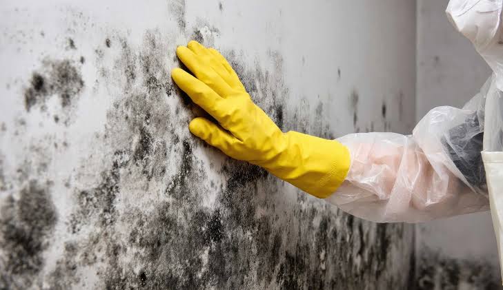 Damp and mould damage on an interior wall