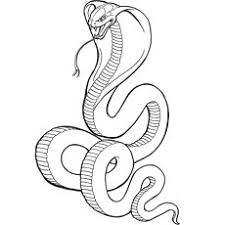 Many type of animals that they could color such as cats, monkeys, and the snake coloring in pages. Top 25 Free Printable Snake Coloring Pages Online