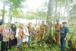 Lolos Hibah PKM, Tim PKM Untika Revitalisasi Taman Wisata Arboretum - HARIAN MERCUSUAR