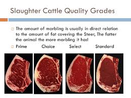 How To Quality Grade Beef Ppt Video Online Download