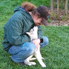 Maybe you would like to learn more about one of these? Dog Discipline Does Hitting And Beating A Dog Work Pethelpful