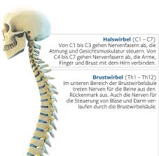 Orthopadie So Bekampfen Sie Ruckenschmerzen Richtig Welt