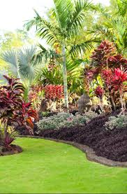 Tropical gardens can appear as if randomly planted but usually a lot of thought has gone into their design. 25 Best Tropical Garden Design Ideas Home And Gardens