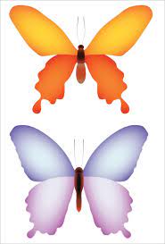 We did not find results for: Free 9 Butterfly Samples In Pdf