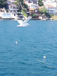 Istanbul Bogazi Istanbul